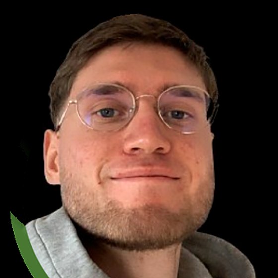 Daniel Birk, Webdesigner